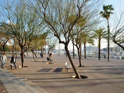 The Barceloneta, Paseo de Juan de Borbón