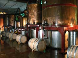 Torres winery