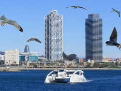 Catamaran sailing in Barcelona