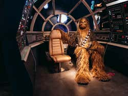 Chewbacca wax figure at the museum
