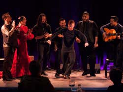 Flamenco show in the Casa Camarón