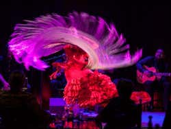 Casa Camarón Flamenco Show