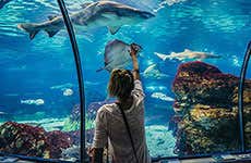 Barcelona Travel Guide