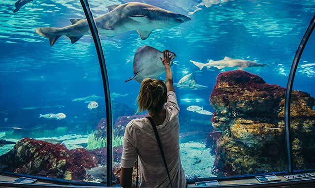 Barcelona Aquarium - Opening times, tickets and address