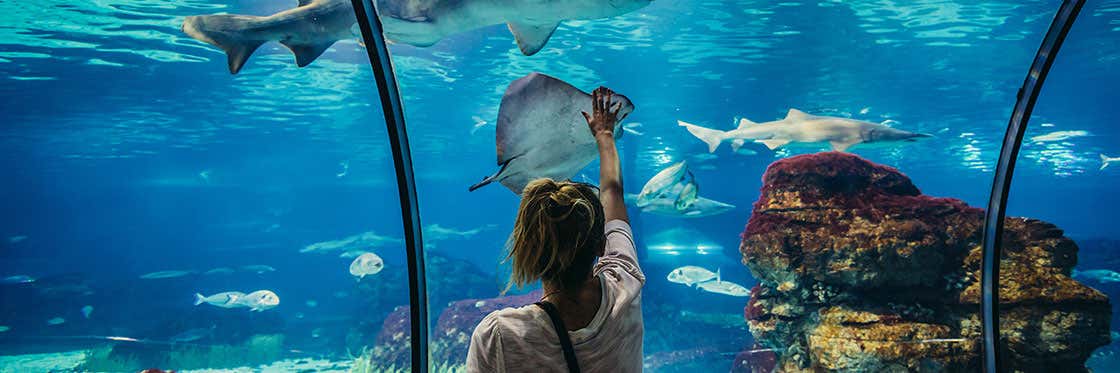 Barcelona Aquarium
